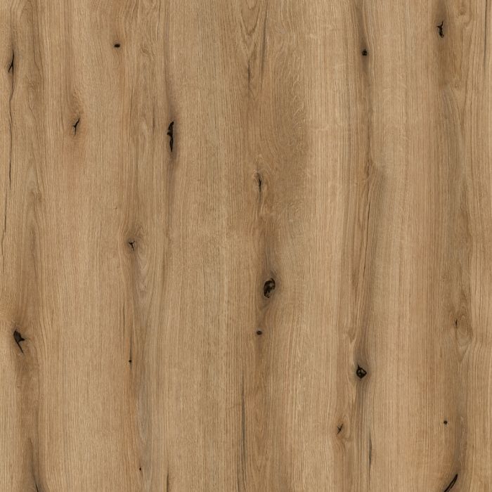 Coast Evoke Oak